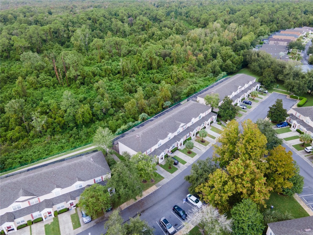 2364 Silver Palm Drive Kissimmee FL 34747 O6250059 image38