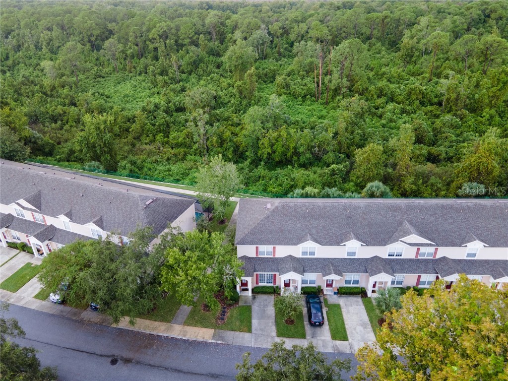 2364 Silver Palm Drive Kissimmee FL 34747 O6250059 image41