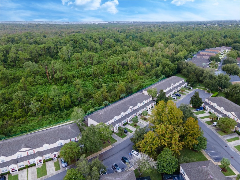 2364 Silver Palm Drive Kissimmee FL 34747 O6250059 image44