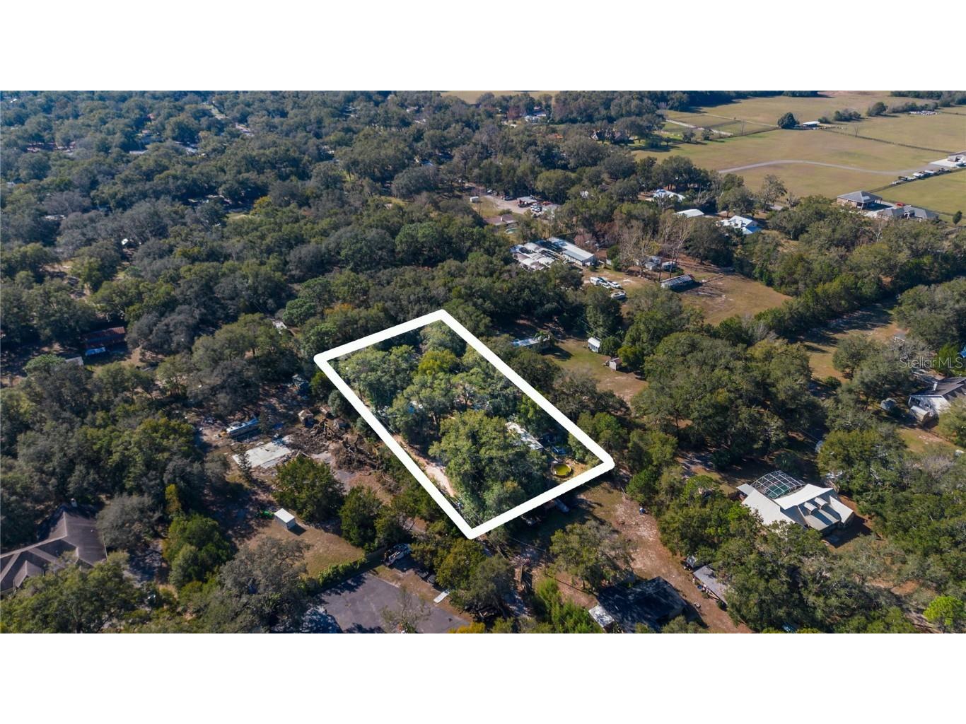 23642 Wolf Branch Road Sorrento FL 32776 V4940053 image1