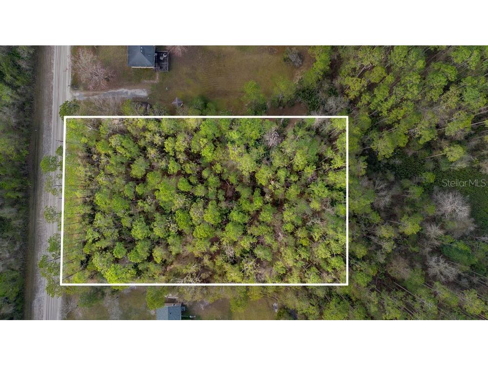 2366 Dogwood Street Bunnell FL 32110 V4928696 image1