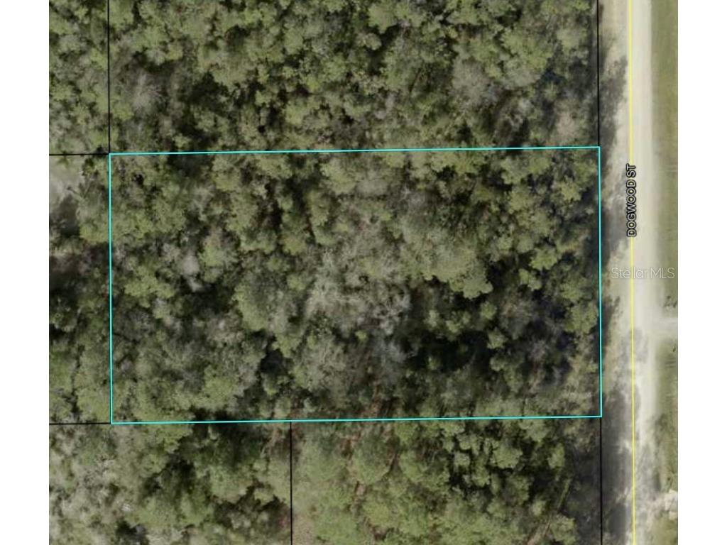 2366 Dogwood Street Bunnell FL 32110 FC293684 image1