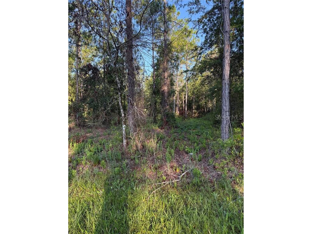 2366 Dogwood Street Bunnell FL 32110 V4943531 image1