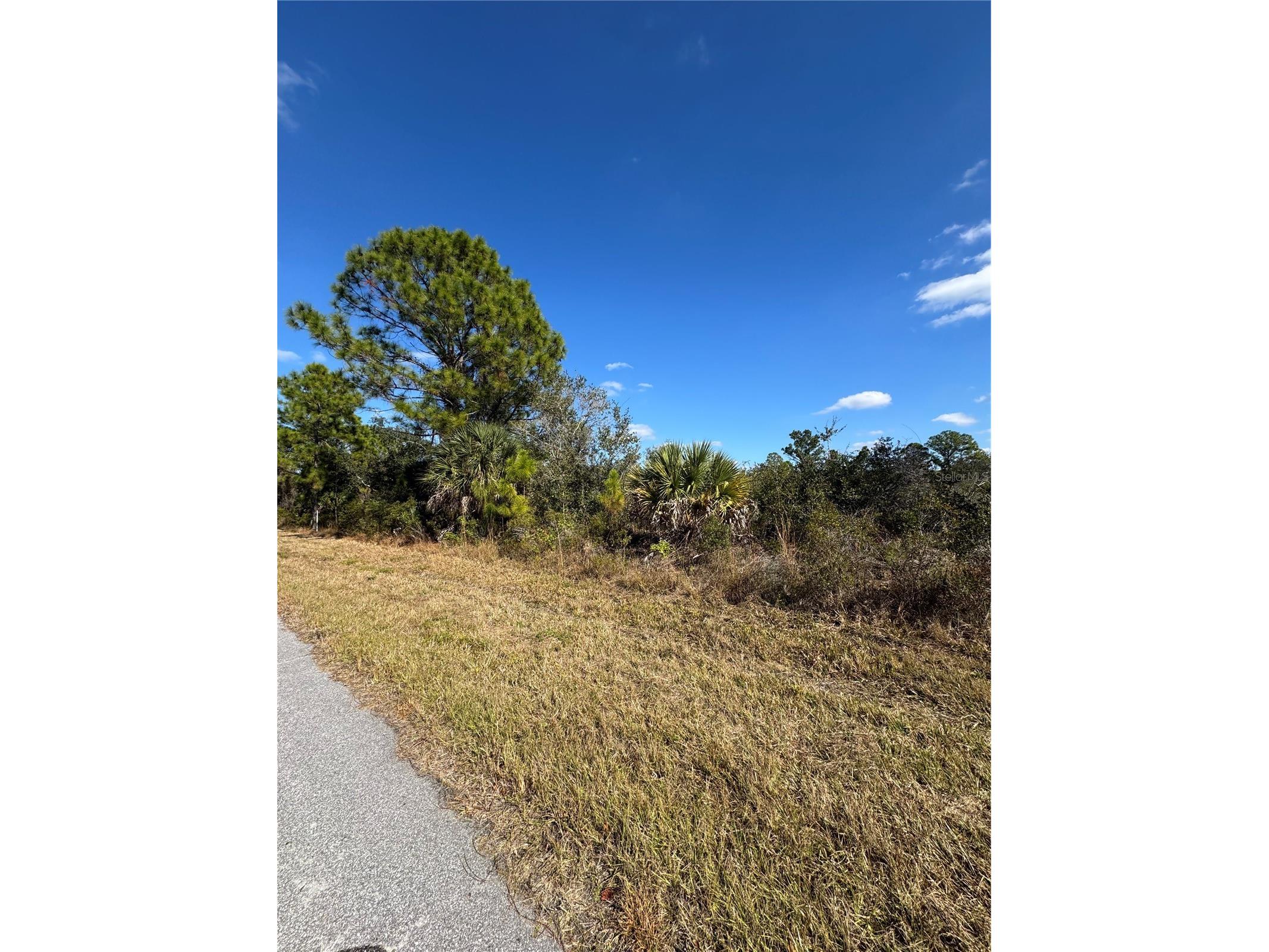 2366 Le Jeune Drive Port Charlotte FL 33953 C7519434 image3