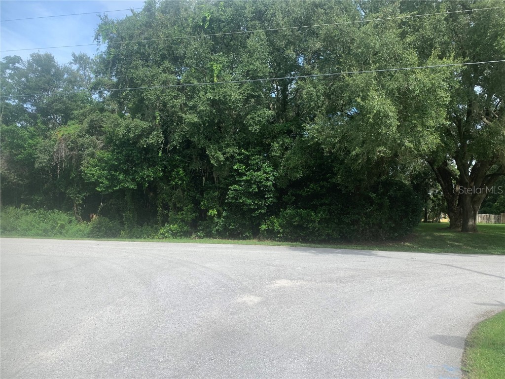 2367 Danforth Road #21 Spring Hill FL 34608 U8157509 image1