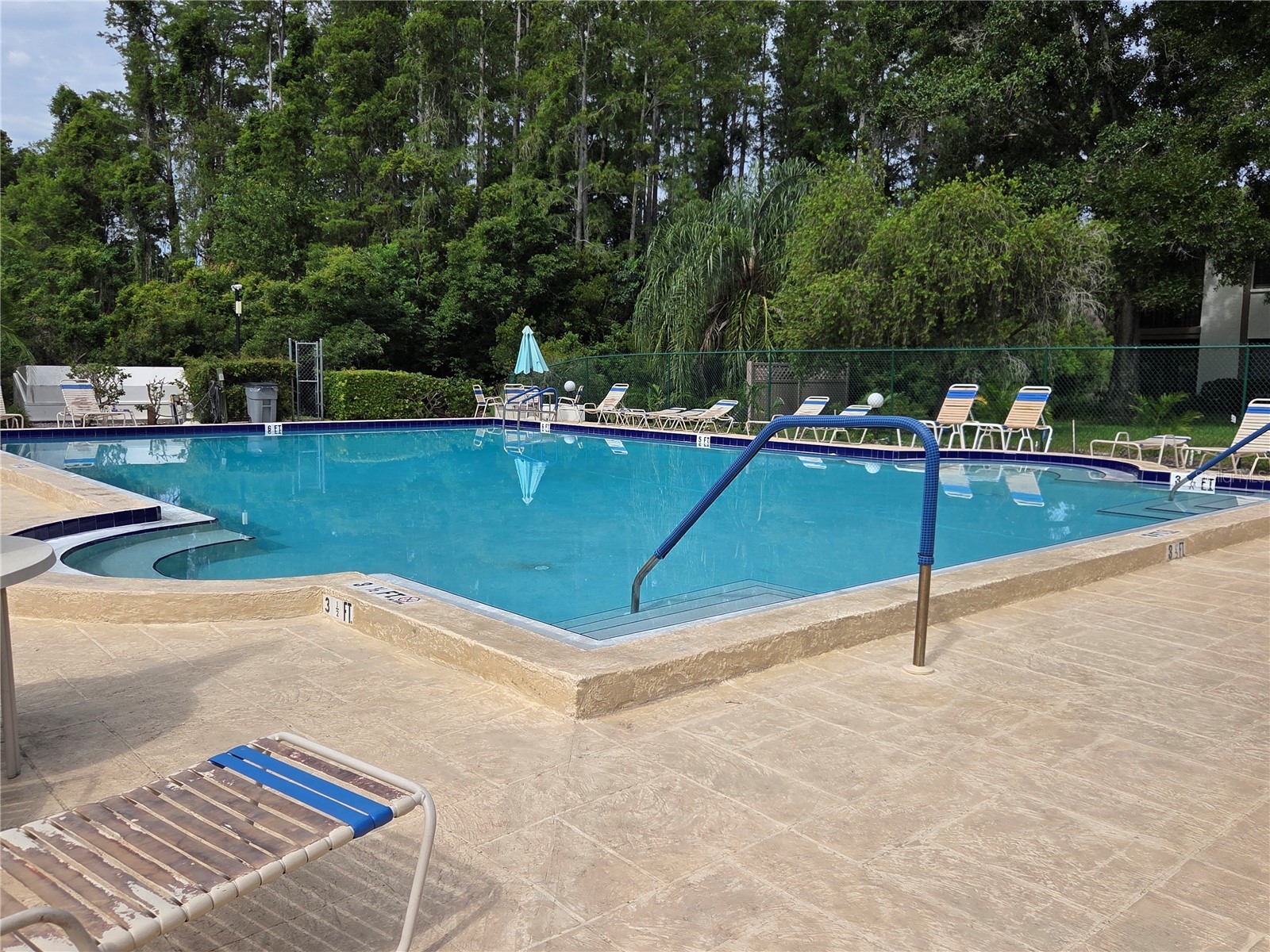 2367 Flanders Way #D Safety Harbor FL 34695 W7886610 image10