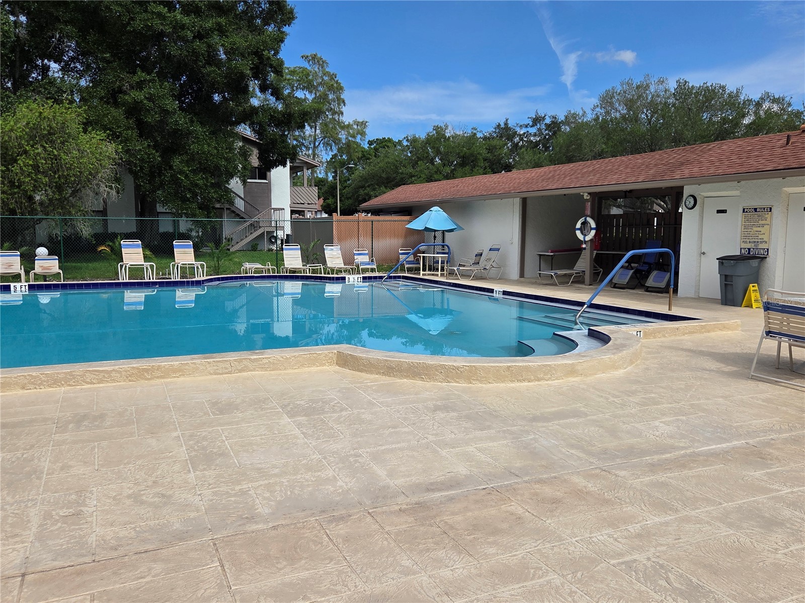 2367 Flanders Way #D Safety Harbor FL 34695 W7886610 image11