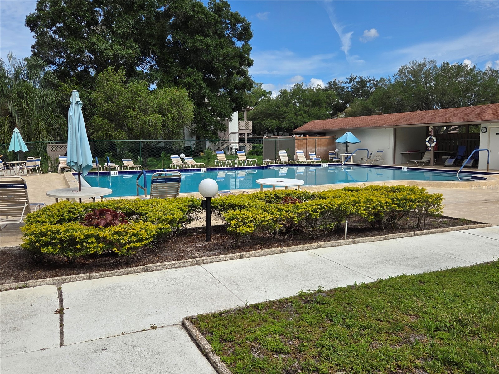2367 Flanders Way #D Safety Harbor FL 34695 W7886610 image12