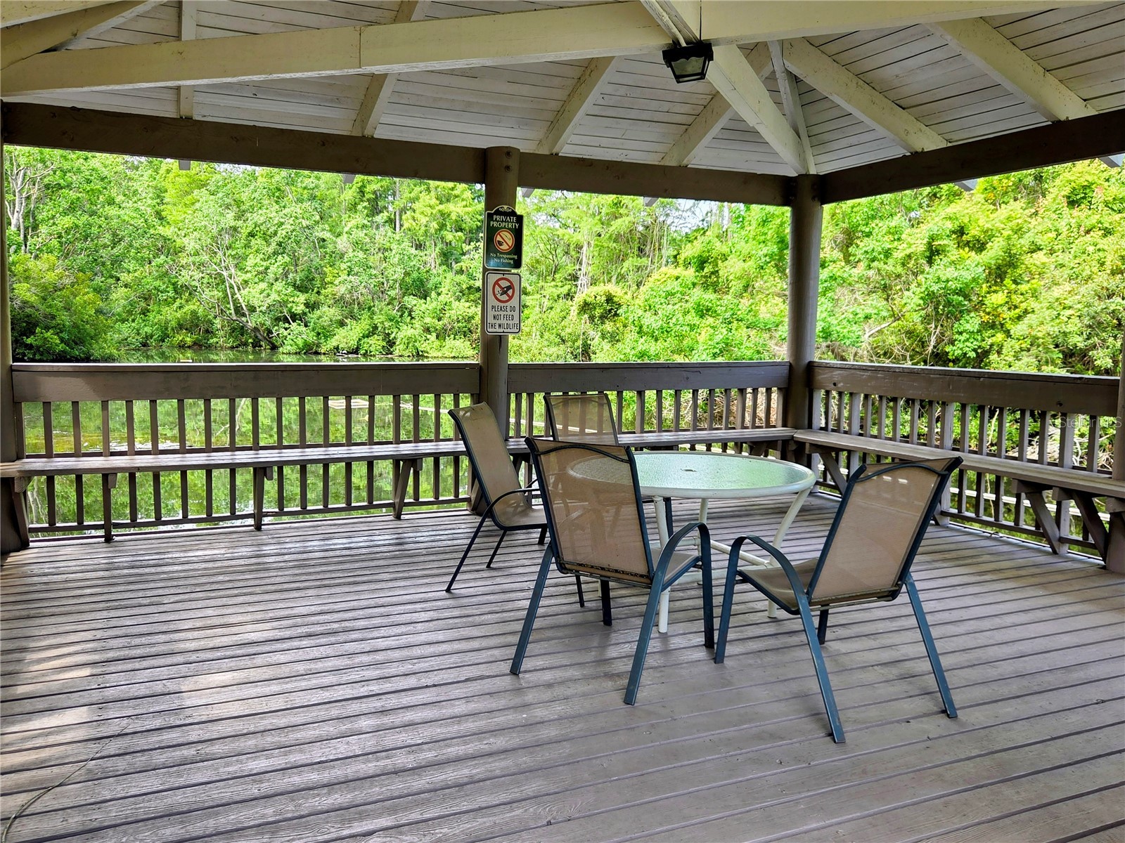 2367 Flanders Way #D Safety Harbor FL 34695 W7886610 image13