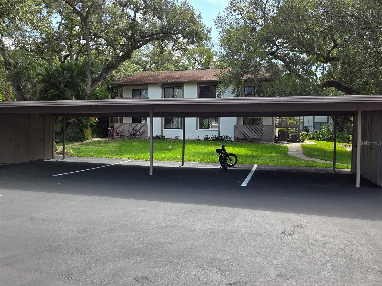 2367 Flanders Way #D Safety Harbor FL 34695 W7886610 image2