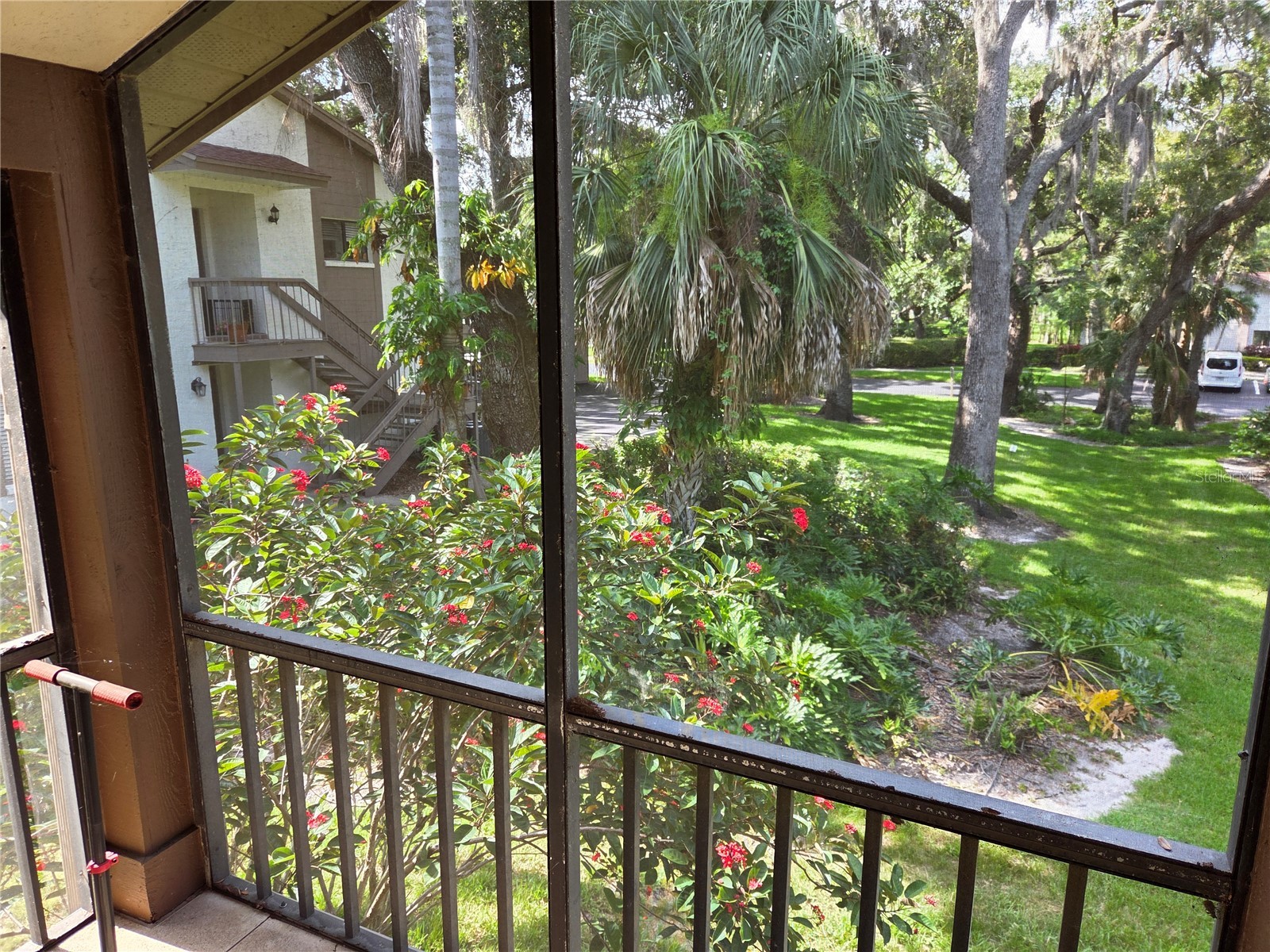 2367 Flanders Way #D Safety Harbor FL 34695 W7886610 image7