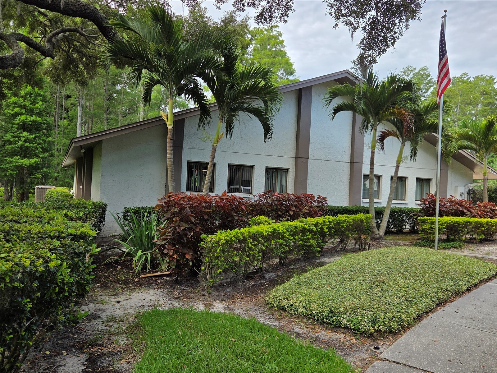 2367 Flanders Way #D Safety Harbor FL 34695 W7886610 image9