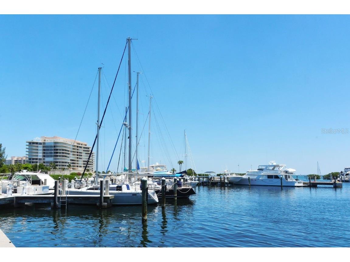 2367 Harbour Oaks Drive Longboat Key FL 34228 A4670055 image44