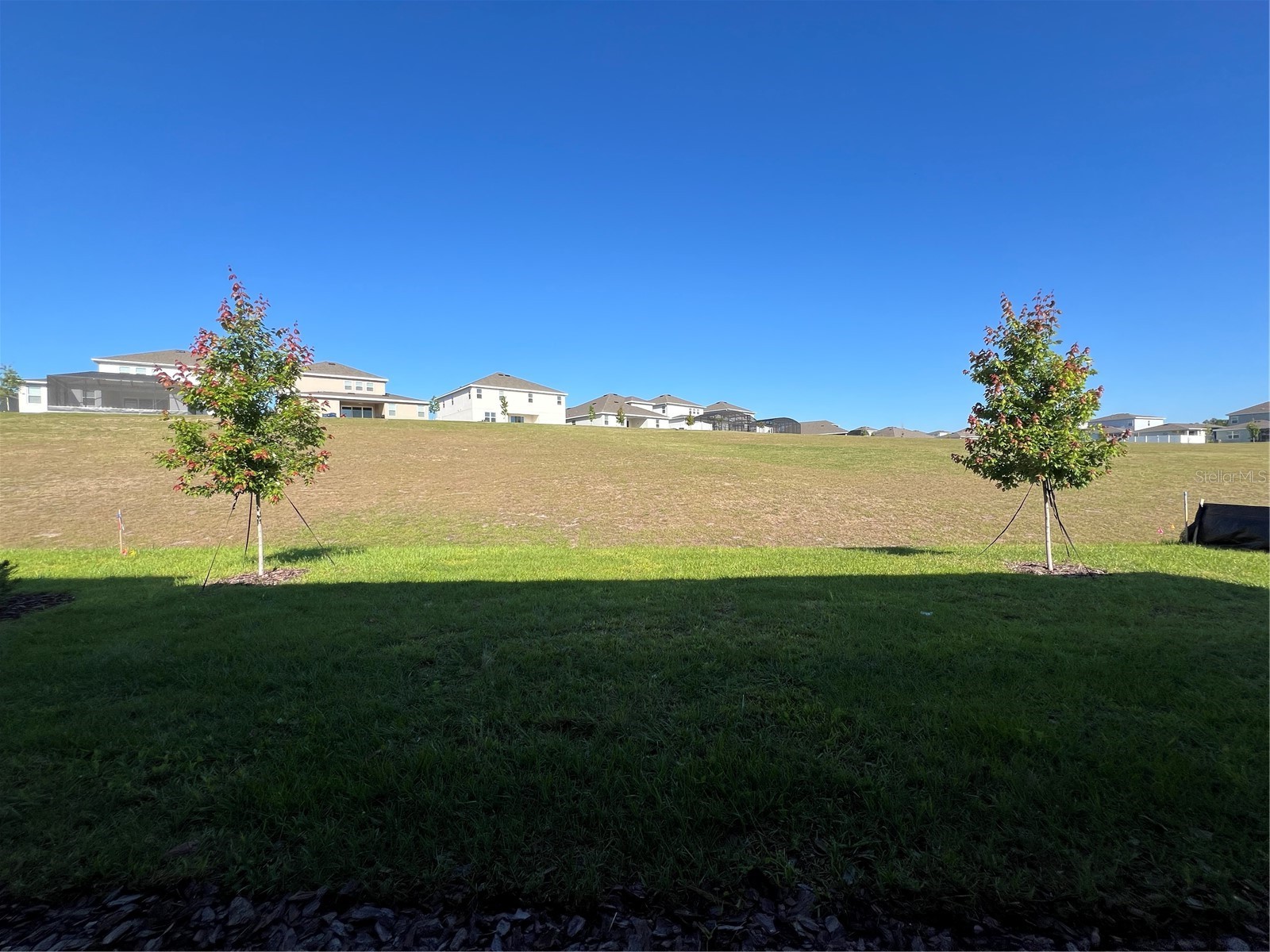 2367 Juniper Berry Drive Minneola FL 34715 G5111573 image21