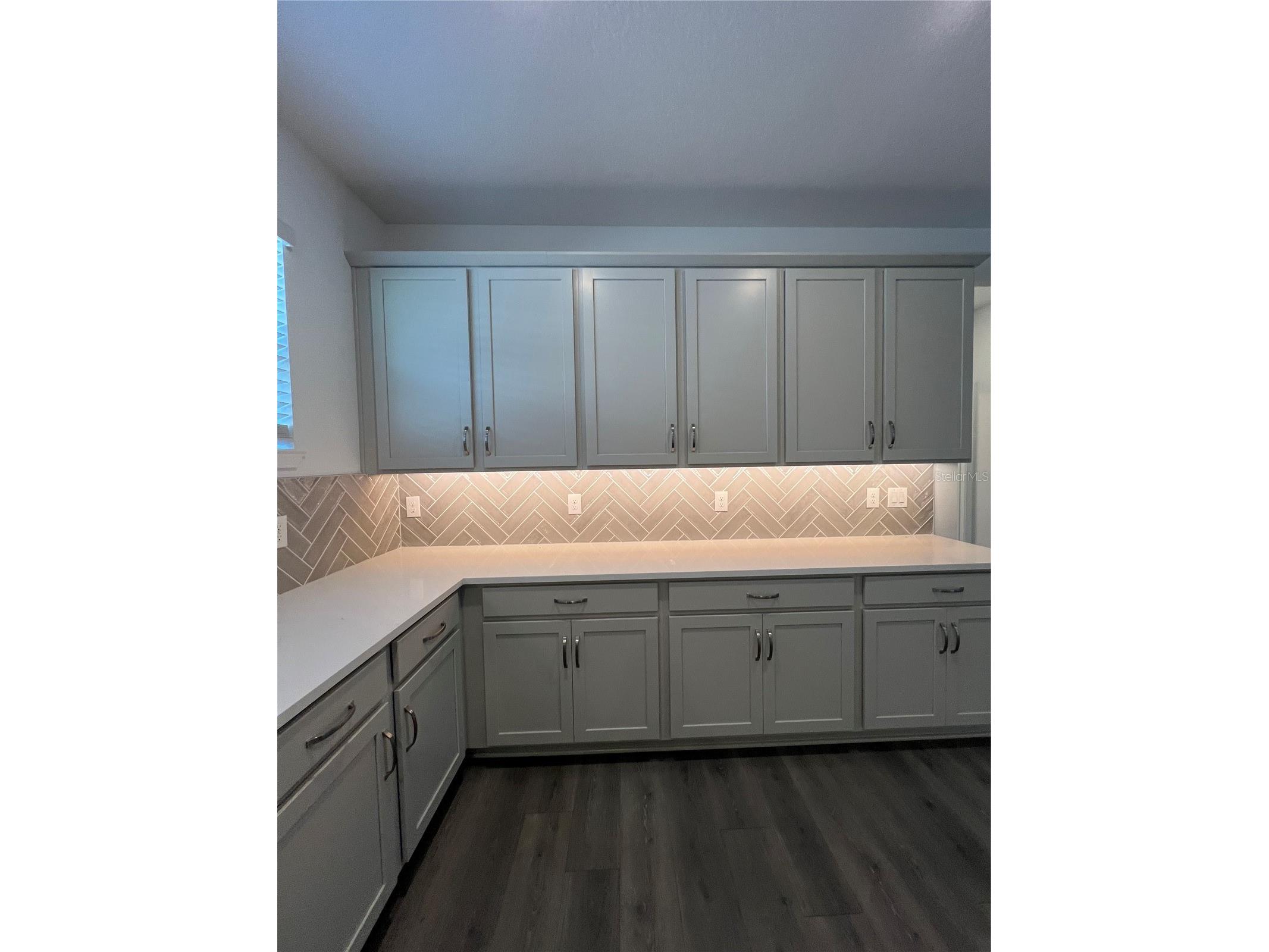 2367 Juniper Berry Drive Minneola FL 34715 G5111573 image9