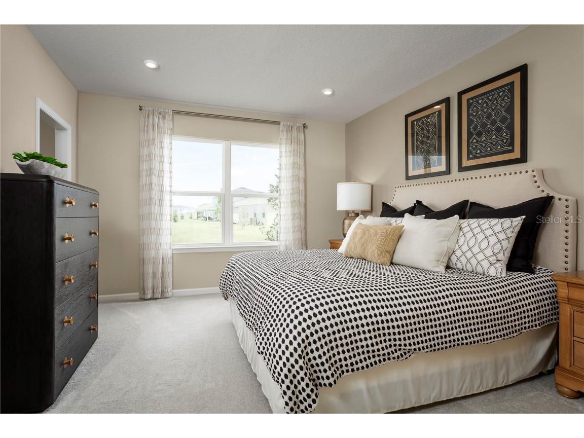 2367 Scenic Park Loop Wimauma FL 33598 W7877417 image17