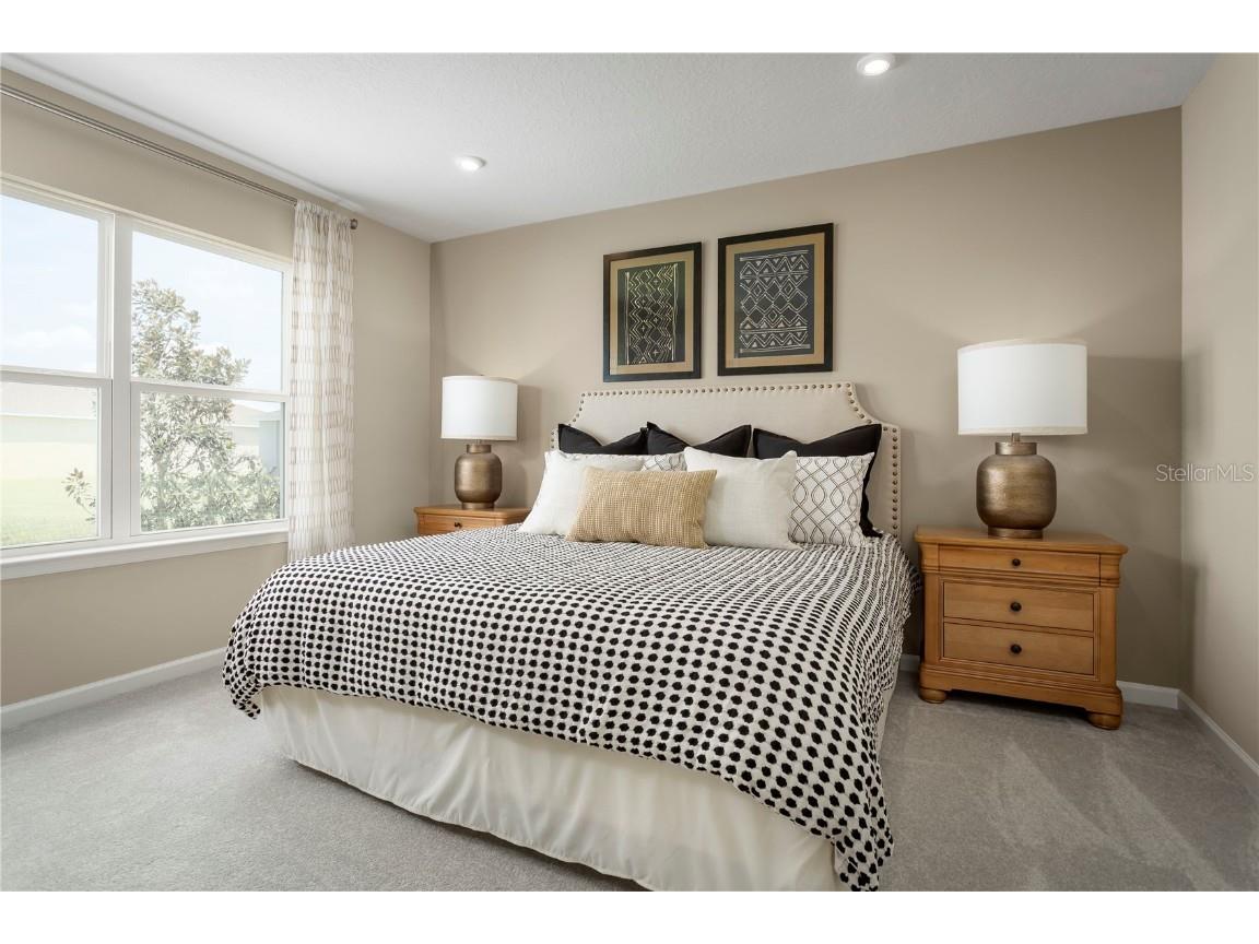 2367 Scenic Park Loop Wimauma FL 33598 W7877417 image18