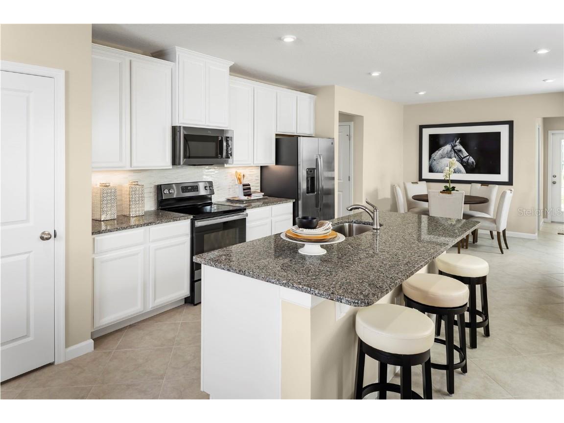 2367 Scenic Park Loop Wimauma FL 33598 W7877417 image2