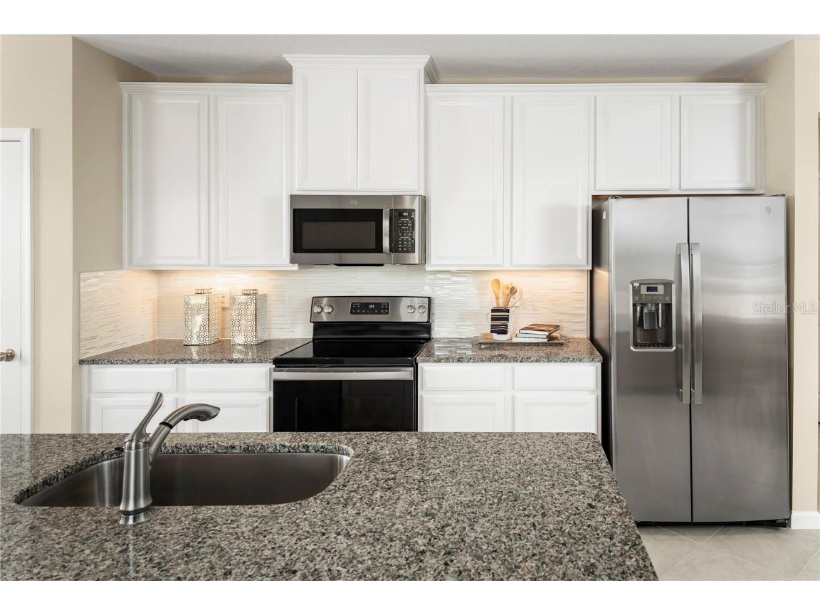 2367 Scenic Park Loop Wimauma FL 33598 W7877417 image3