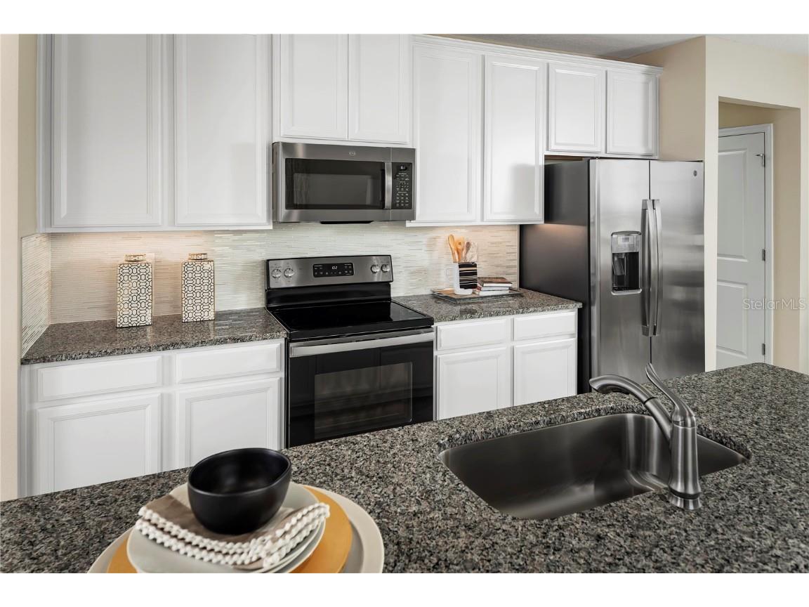 2367 Scenic Park Loop Wimauma FL 33598 W7877417 image4