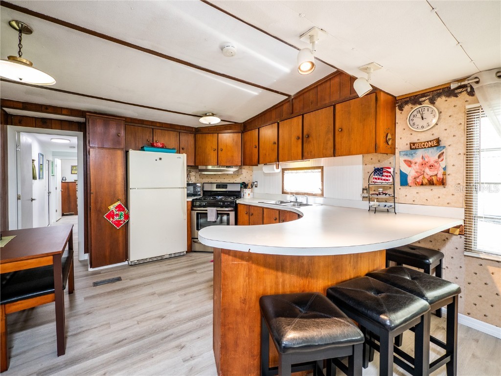 23673 NE 134th Lane Road Fort Mc Coy FL 32134 - LAKE KERR OM682675 image10