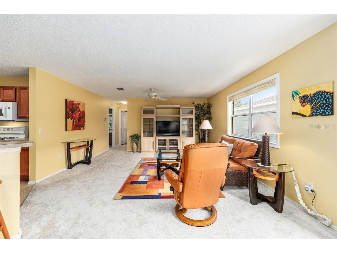 2368 Branchville Terrace The Villages FL 32162 G5102501 image11