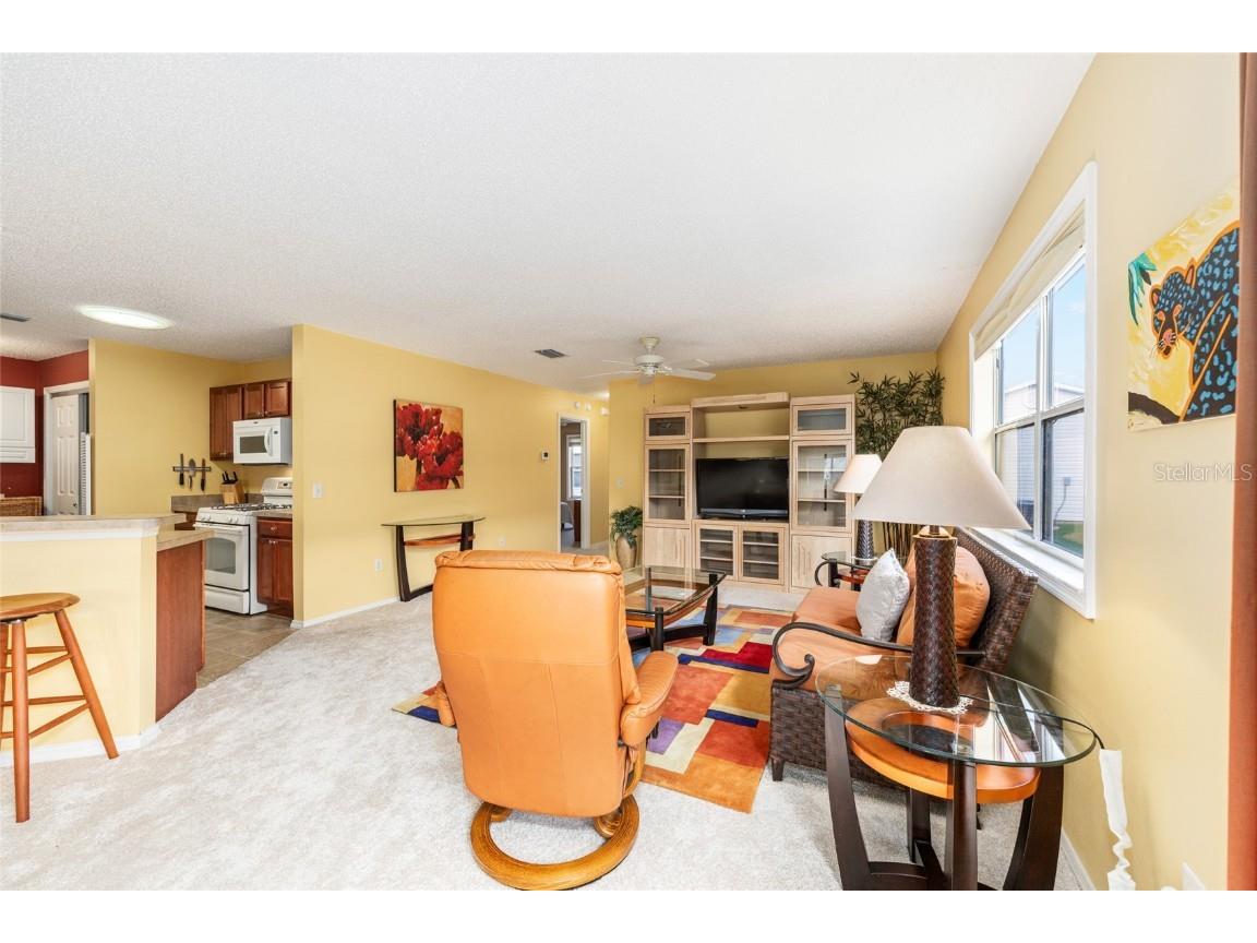 2368 Branchville Terrace The Villages FL 32162 G5102501 image14