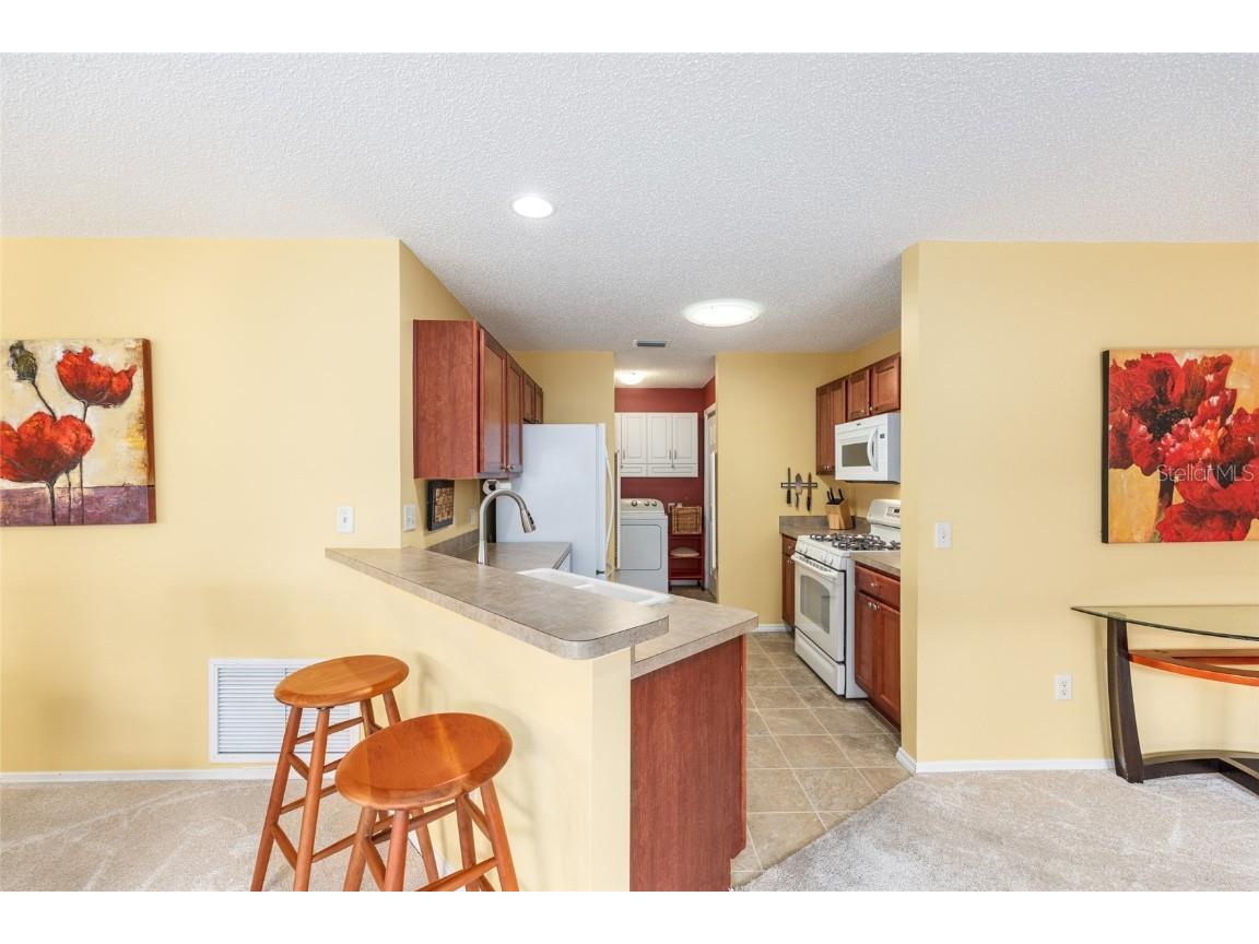 2368 Branchville Terrace The Villages FL 32162 G5102501 image15