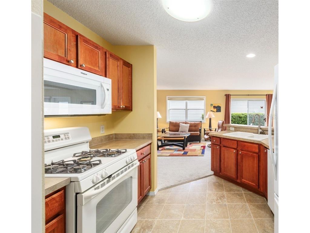 2368 Branchville Terrace The Villages FL 32162 G5102501 image17