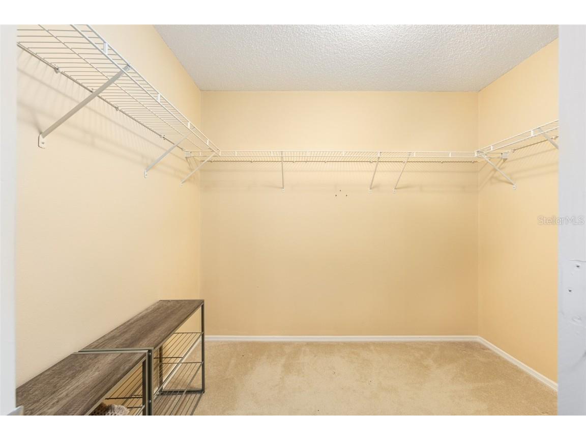 2368 Branchville Terrace The Villages FL 32162 G5102501 image24