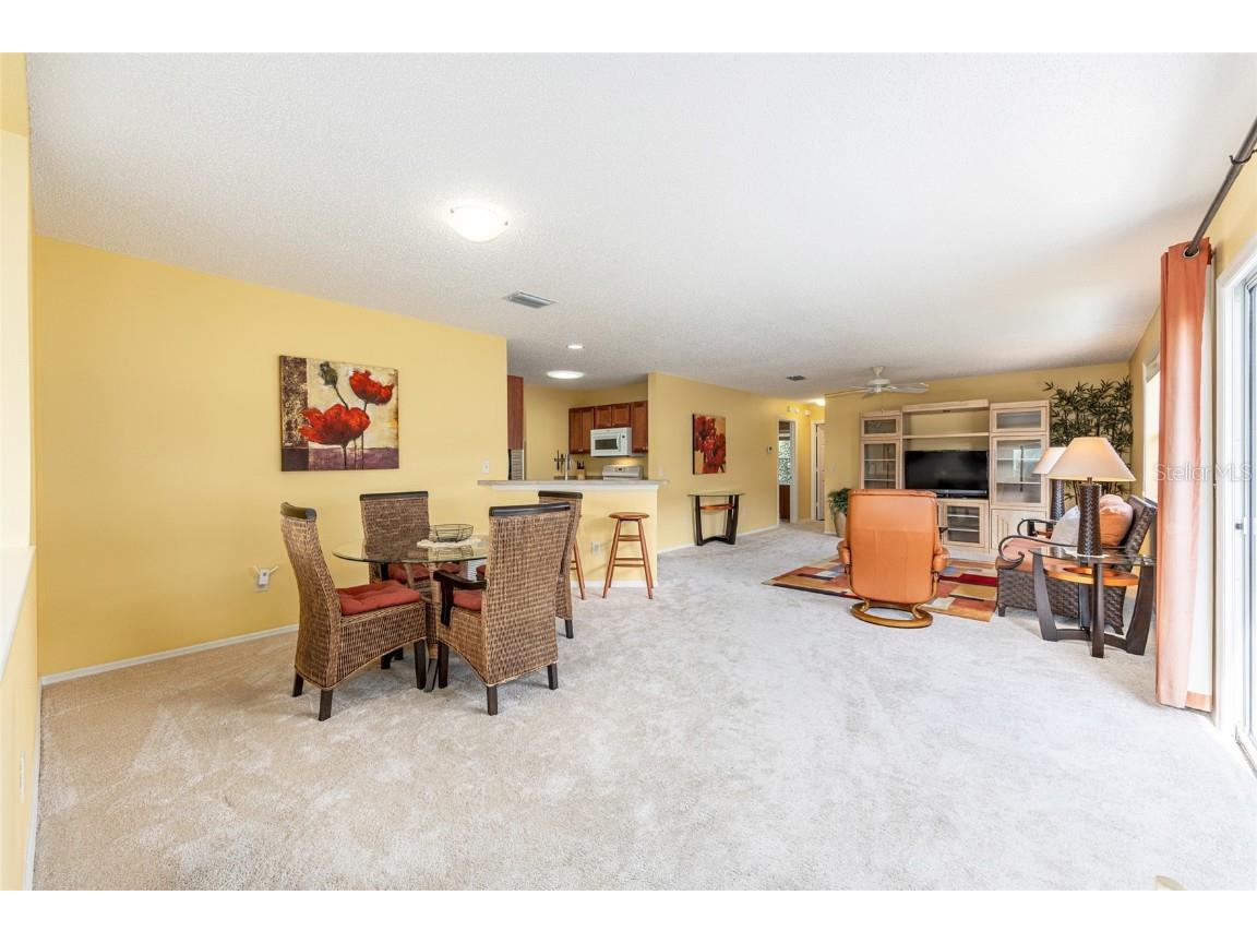 2368 Branchville Terrace The Villages FL 32162 G5102501 image8