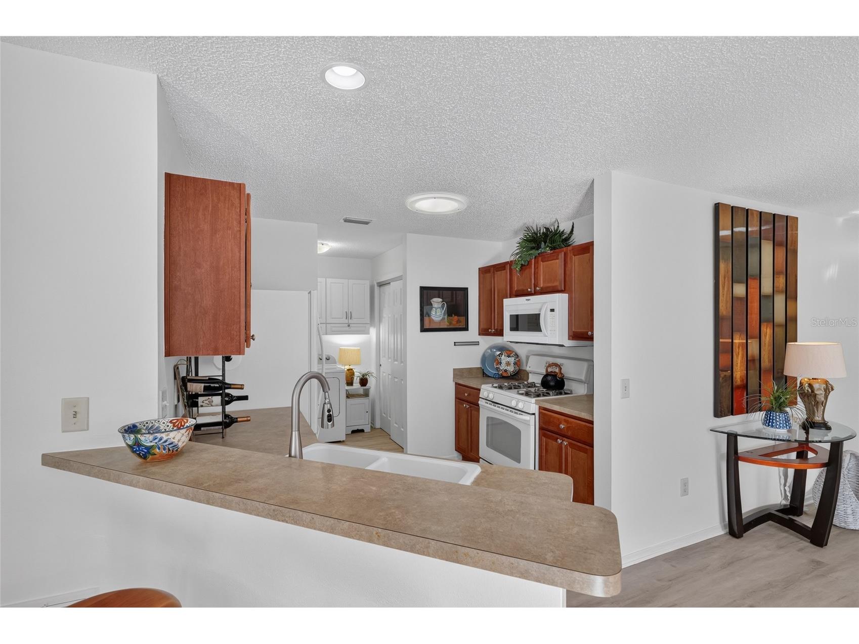 2368 Branchville Terrace The Villages FL 32162 G5114471 image23