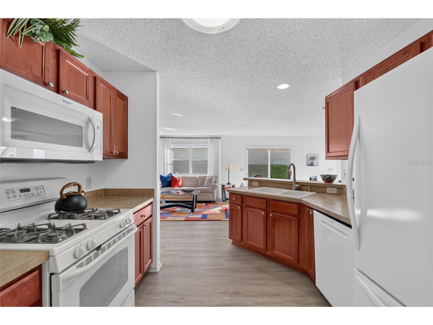 2368 Branchville Terrace The Villages FL 32162 G5114471 image24
