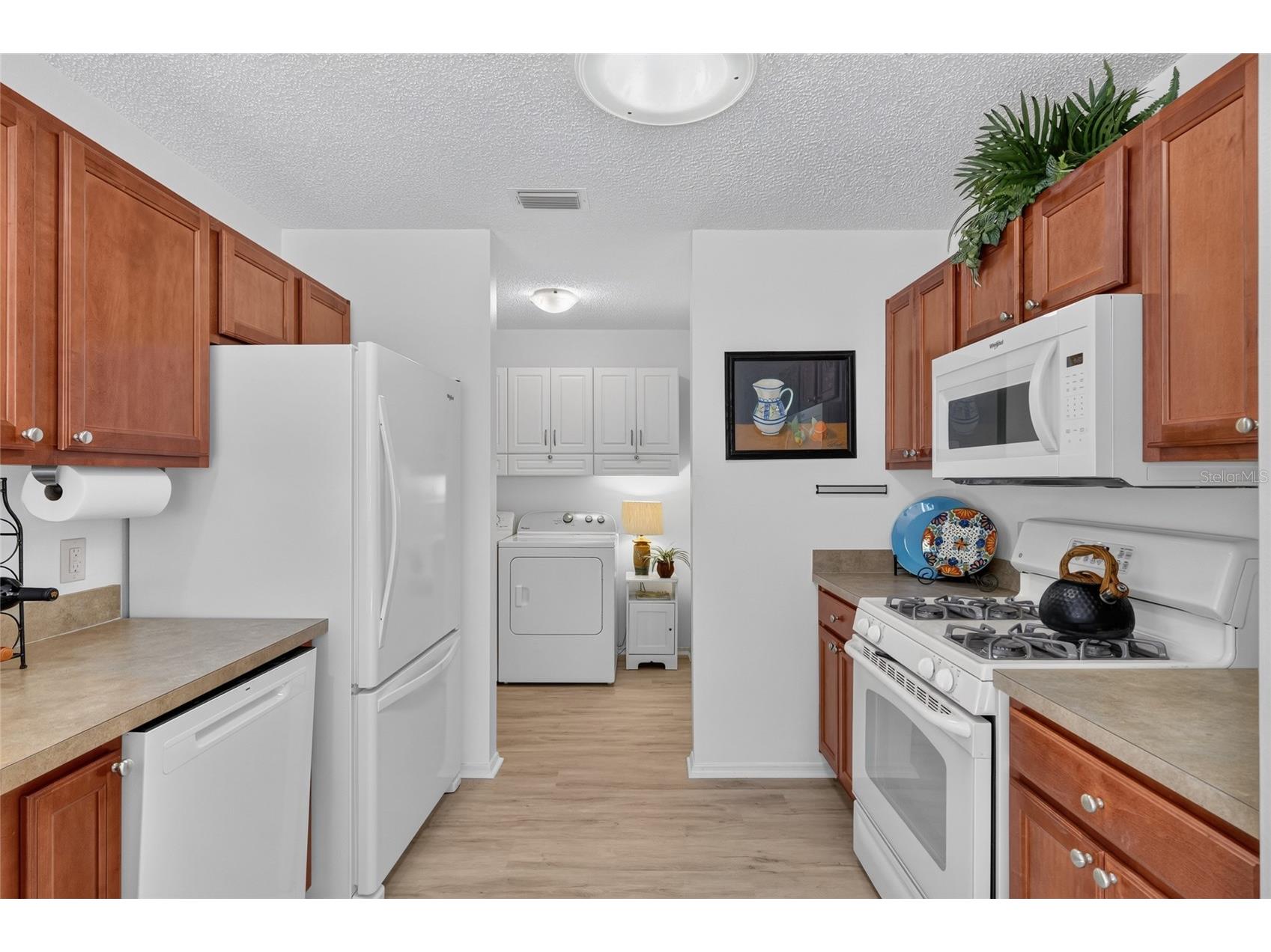 2368 Branchville Terrace The Villages FL 32162 G5114471 image25