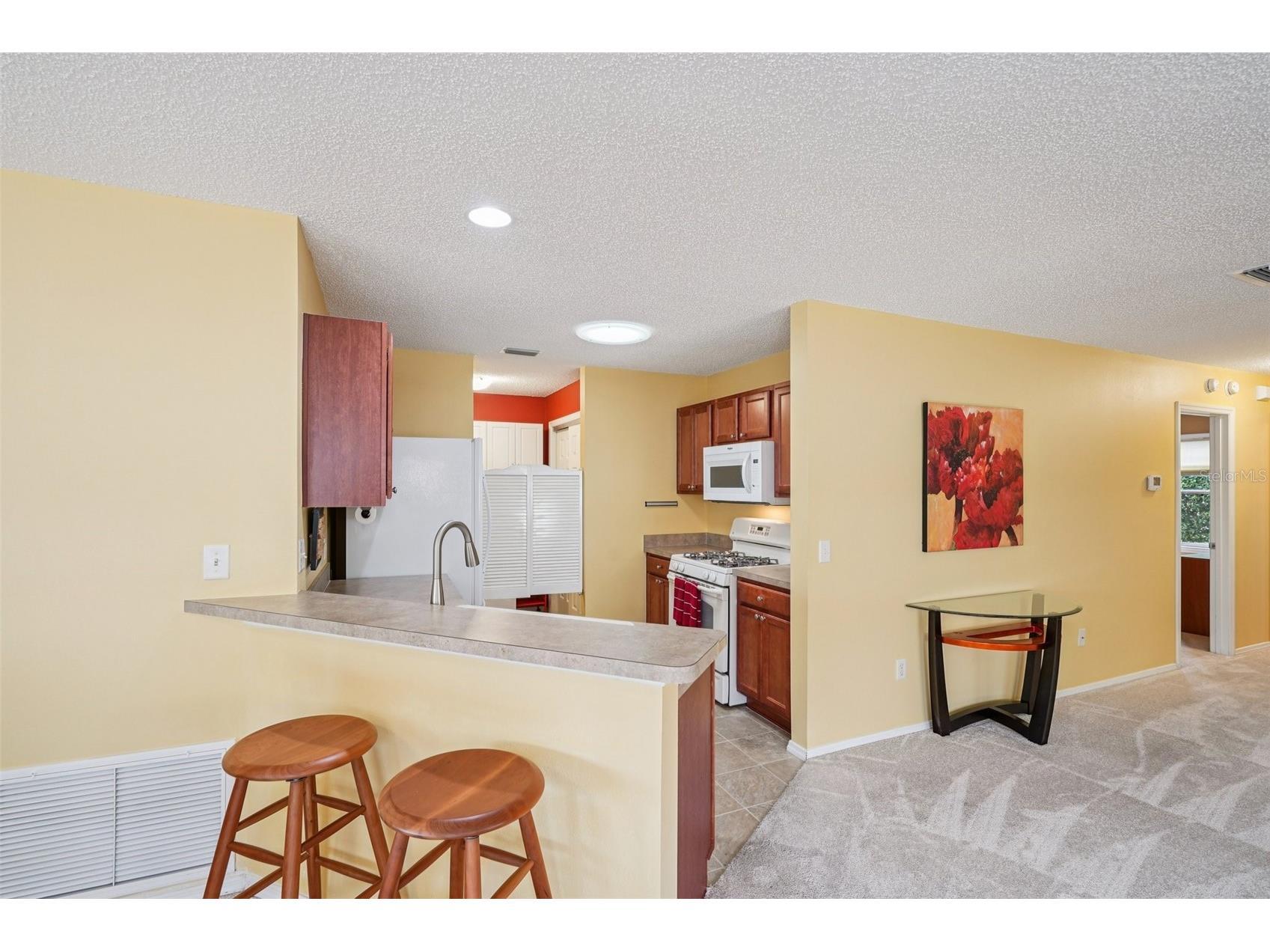 2368 Branchville Terrace The Villages FL 32162 TB8488876 image16