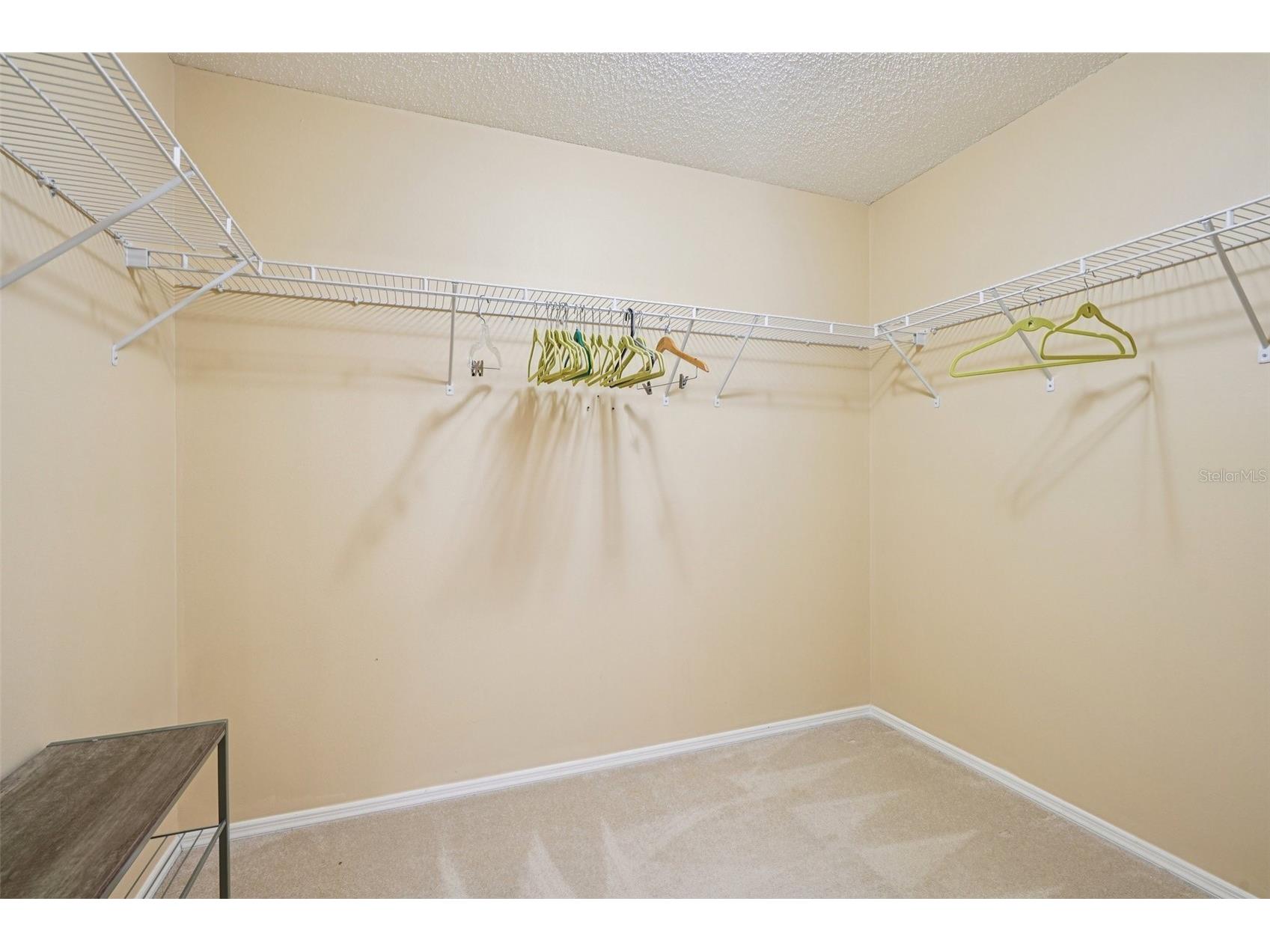 2368 Branchville Terrace The Villages FL 32162 TB8488876 image23