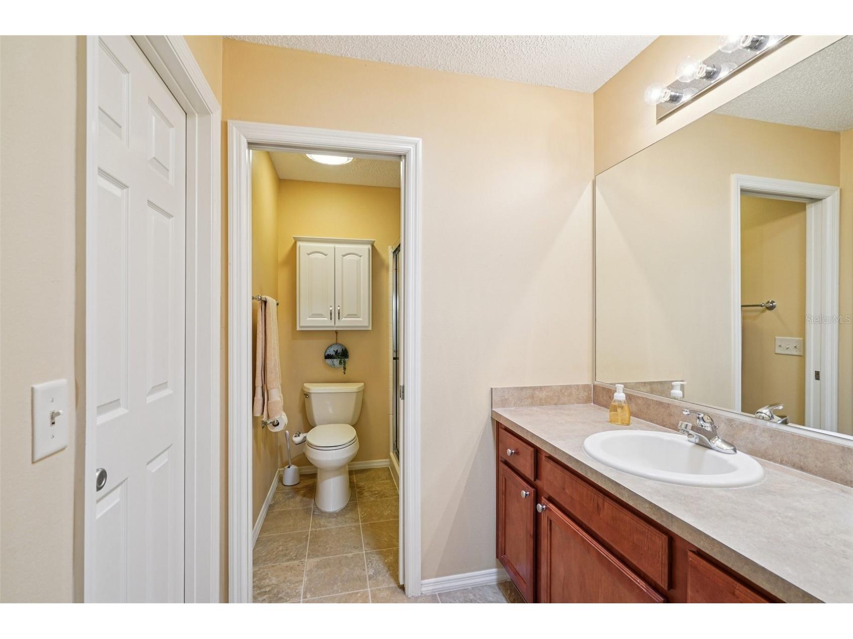 2368 Branchville Terrace The Villages FL 32162 TB8488876 image6