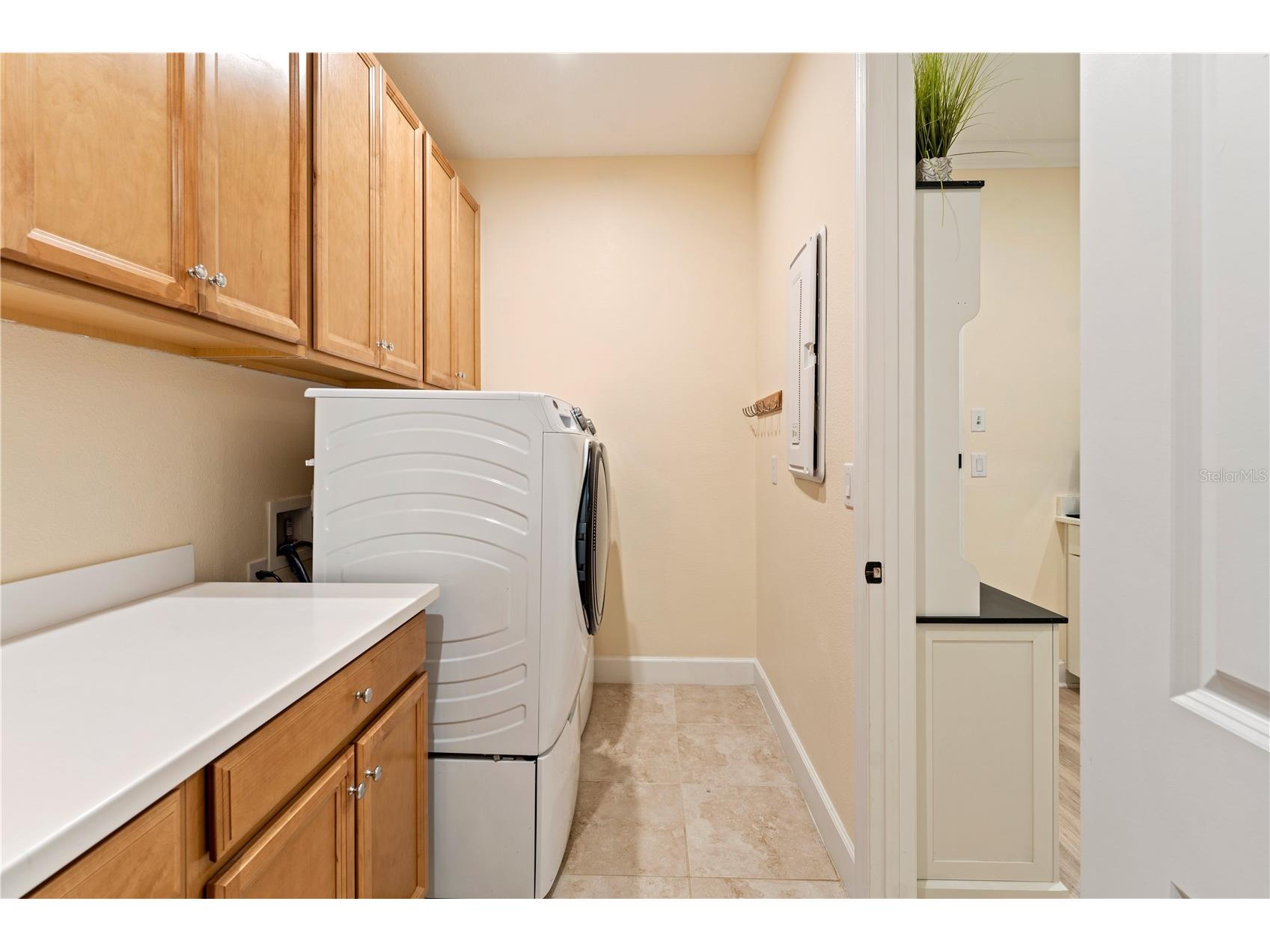 2368 High Tides Way Wesley Chapel FL 33543 TB8472478 image55