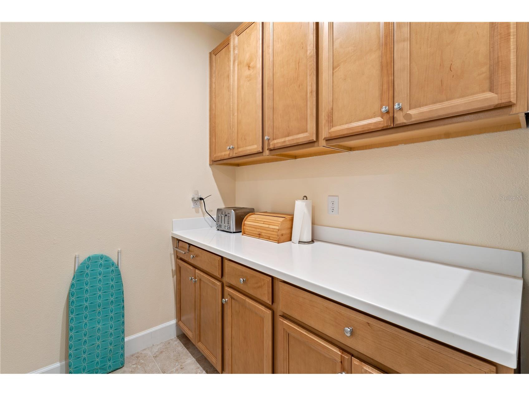 2368 High Tides Way Wesley Chapel FL 33543 TB8472478 image56