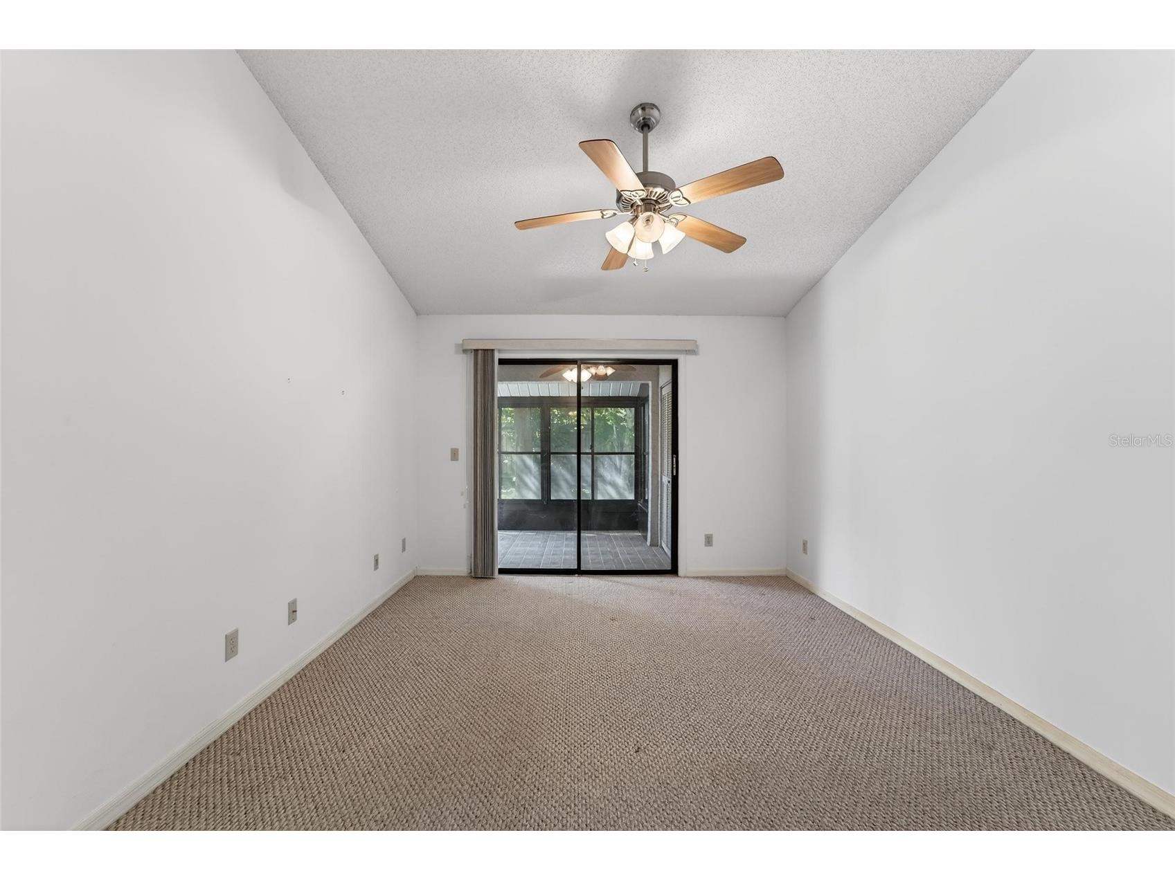 2369 Beverly Drive Dunedin FL 34698 TB8489610 image27