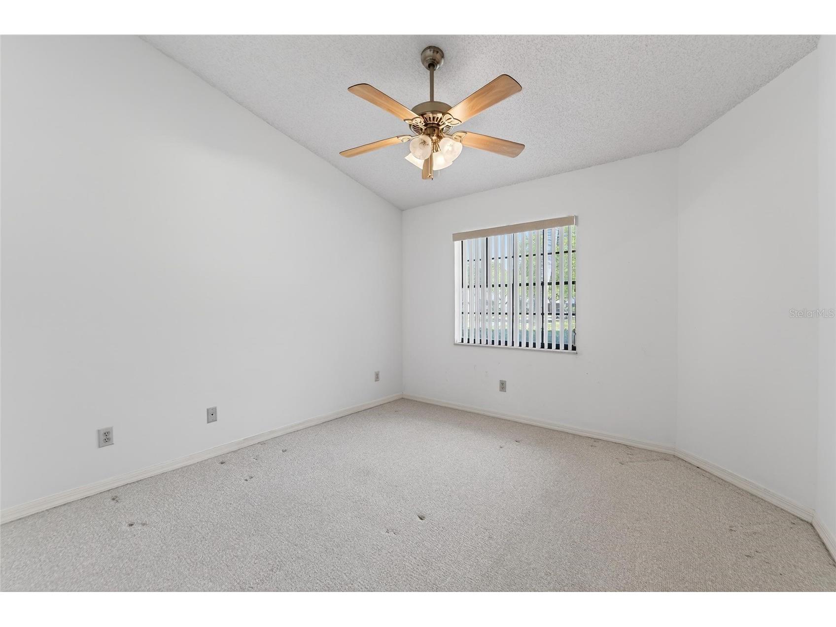 2369 Beverly Drive Dunedin FL 34698 TB8489610 image38