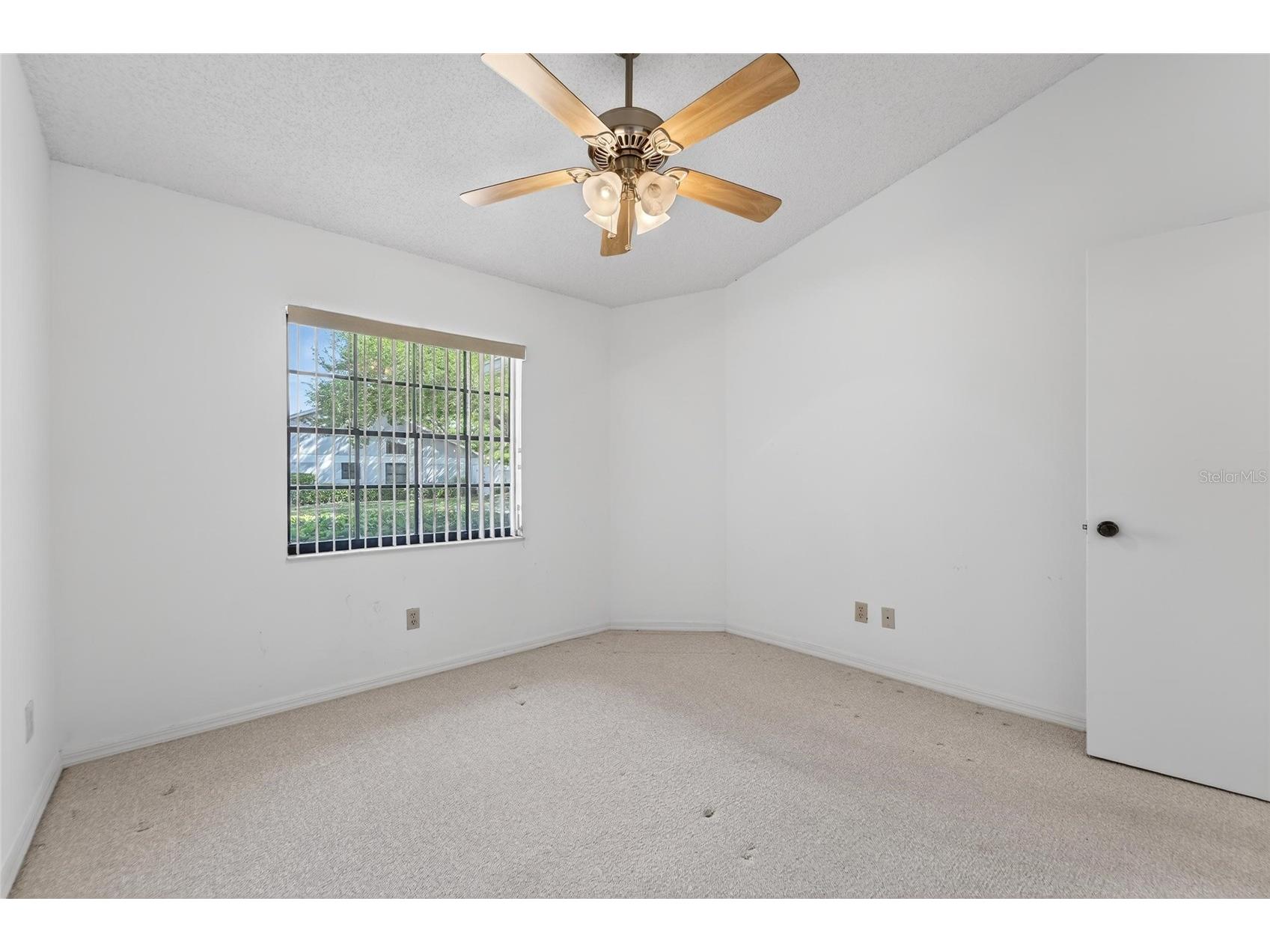 2369 Beverly Drive Dunedin FL 34698 TB8489610 image39