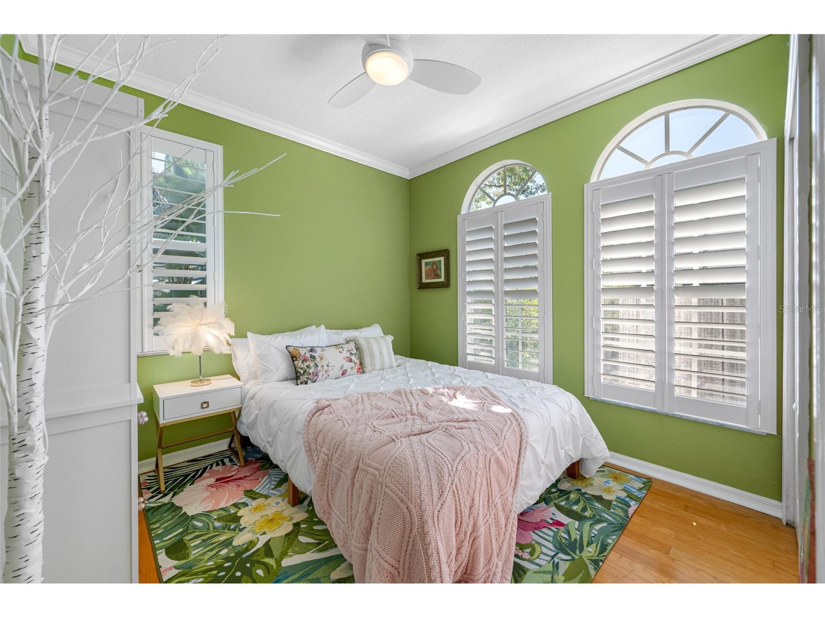 237 7th Avenue N #2 Saint Petersburg FL 33701 TB8487014 image39