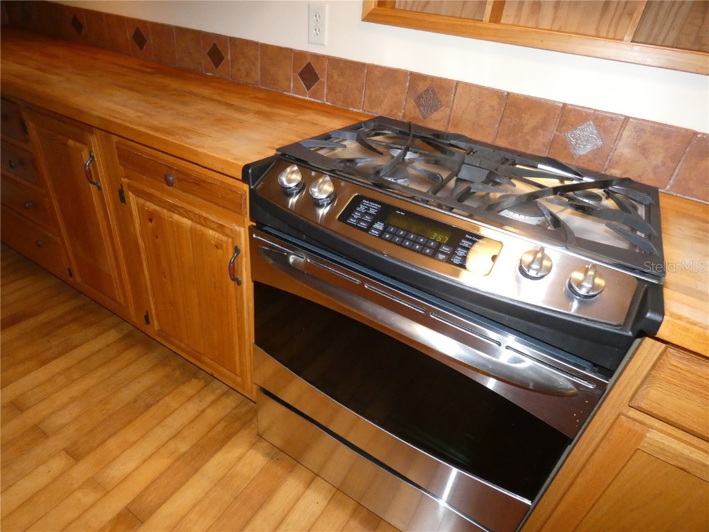 237 Cortez Avenue De Leon Springs FL 32130 O6353046 image15