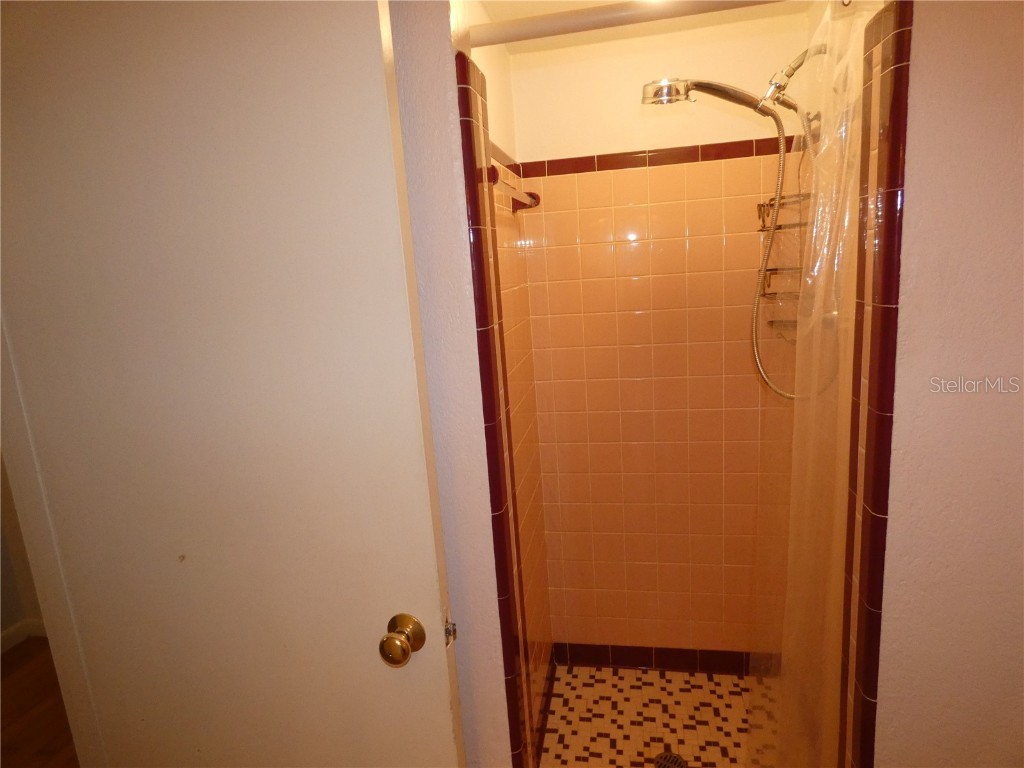 237 Cortez Avenue De Leon Springs FL 32130 O6353046 image31