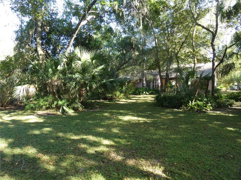 237 Cortez Avenue De Leon Springs FL 32130 O6353046 image37