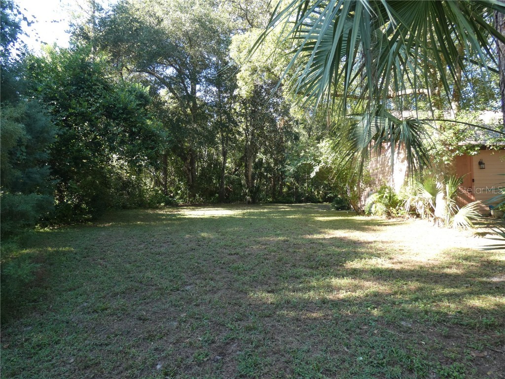 237 Cortez Avenue De Leon Springs FL 32130 O6353046 image39