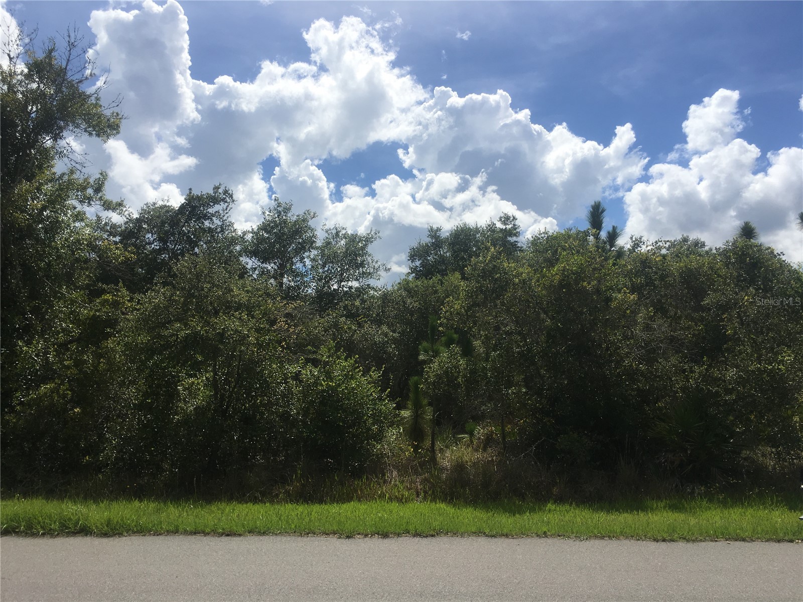 237 Evergreen Street Punta Gorda FL 33982 O6379143 image4