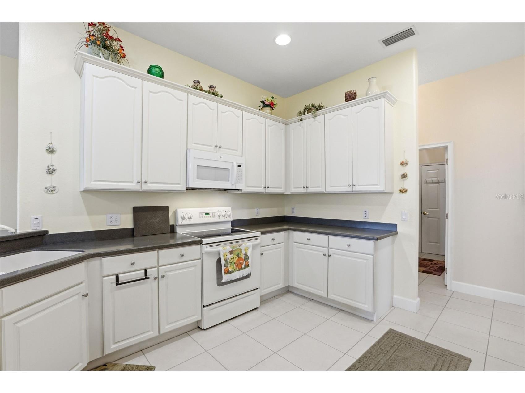 237 Golf Vista Drive Davenport FL 33837 O6407154 image10