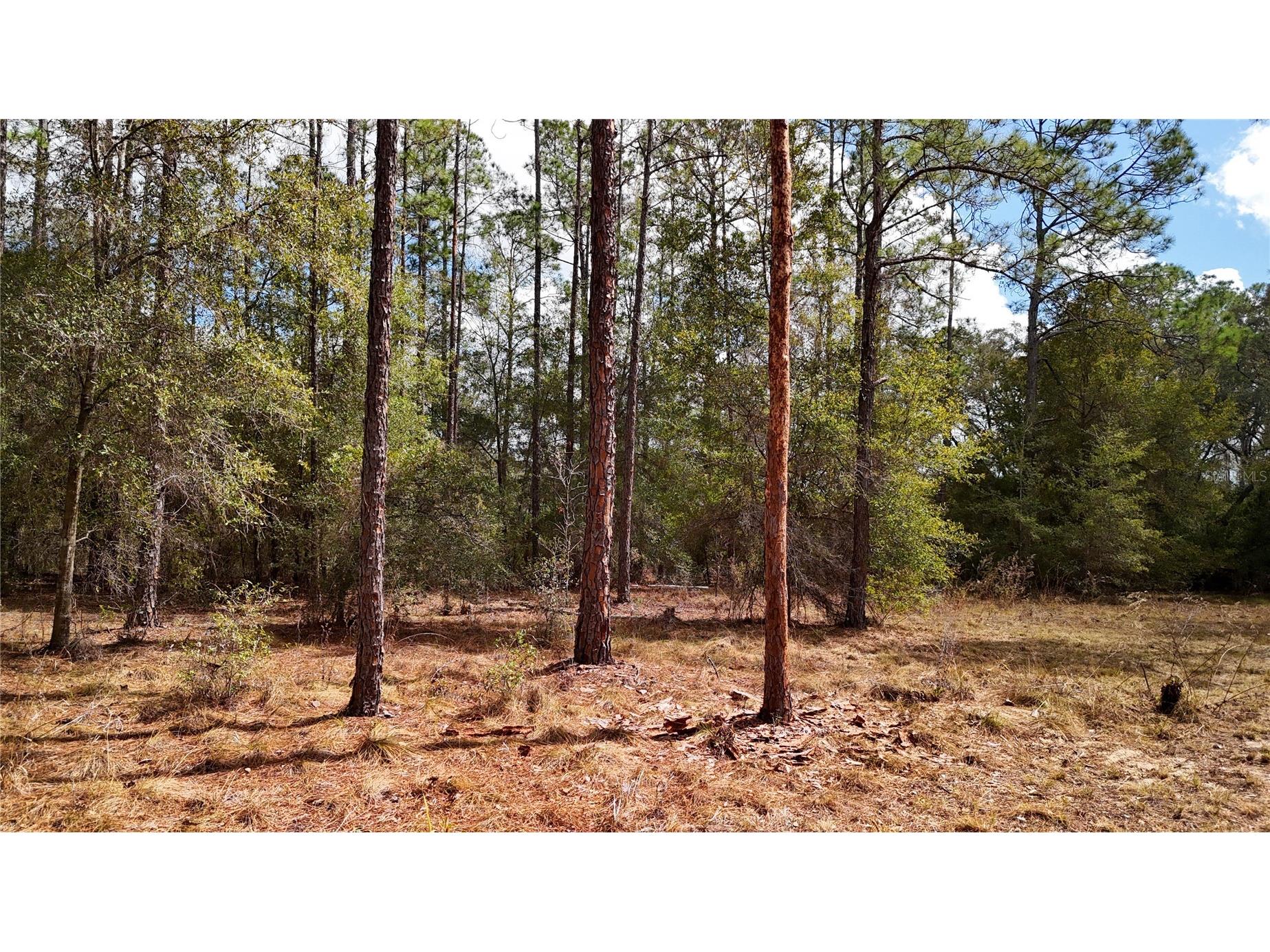 237 Highland Drive Hawthorne FL 32640 GC538143 image10